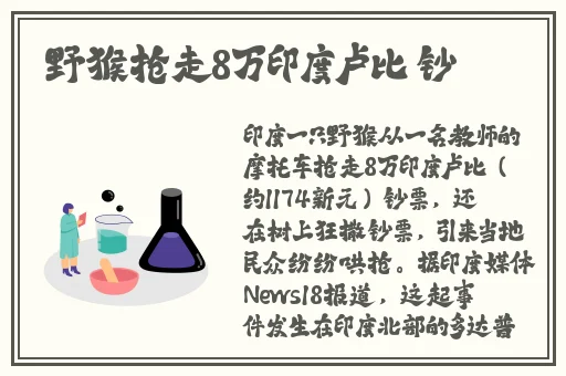 张jinyu三部曲