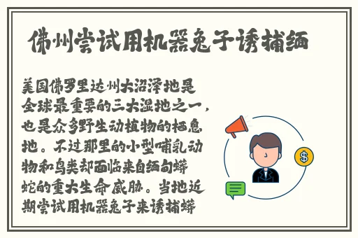 国外免费不卡性生活视频
